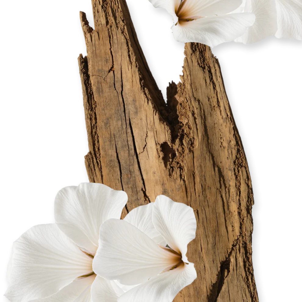 Parfums de Marly Valaya