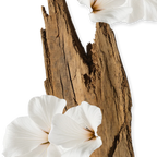 Parfums de Marly Valaya